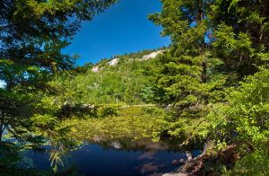 25  DA167--White-Ledges-from-Lake-Solitude.jpg